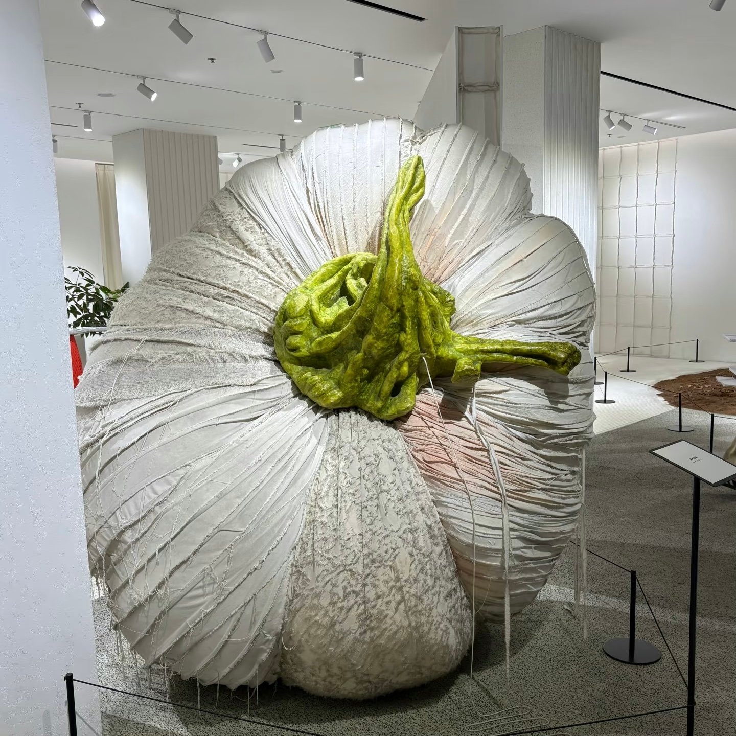 ジェントルモンスター店内