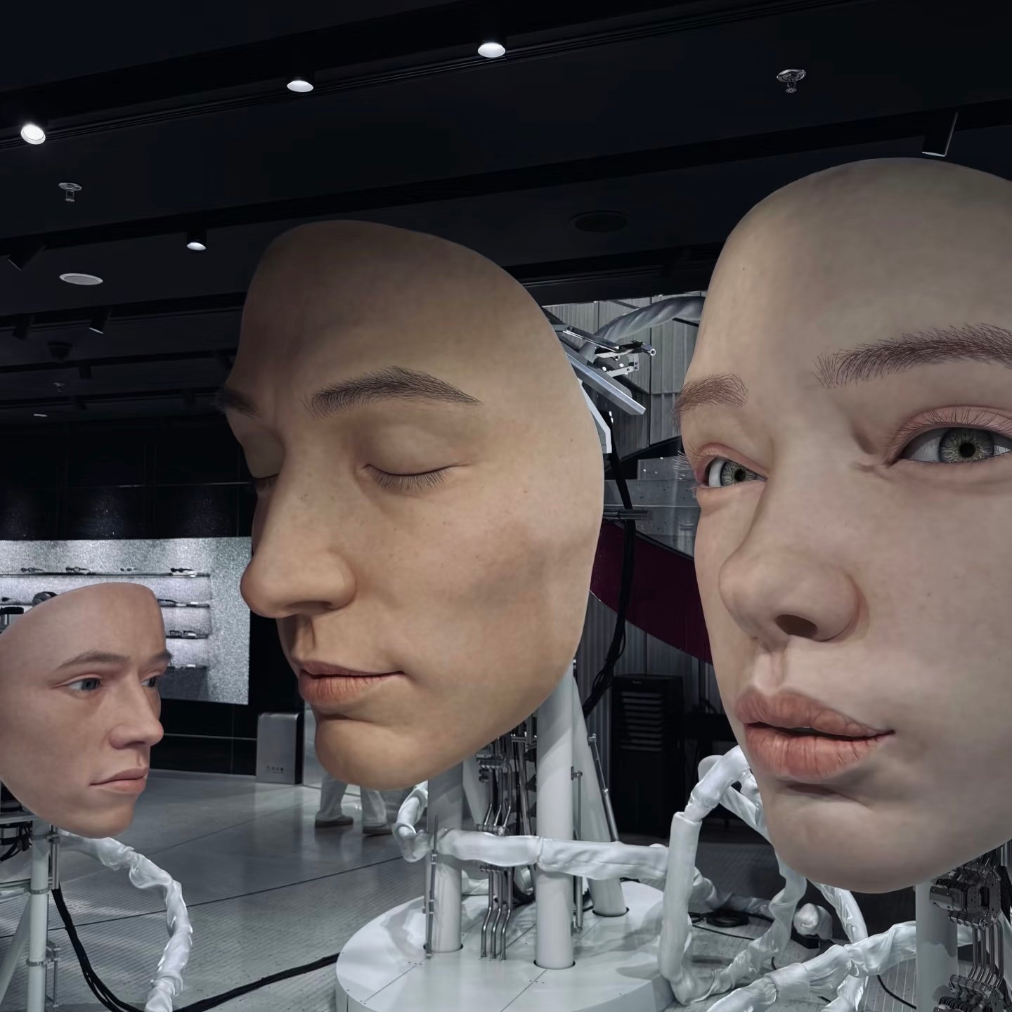 ジェントルモンスター店内