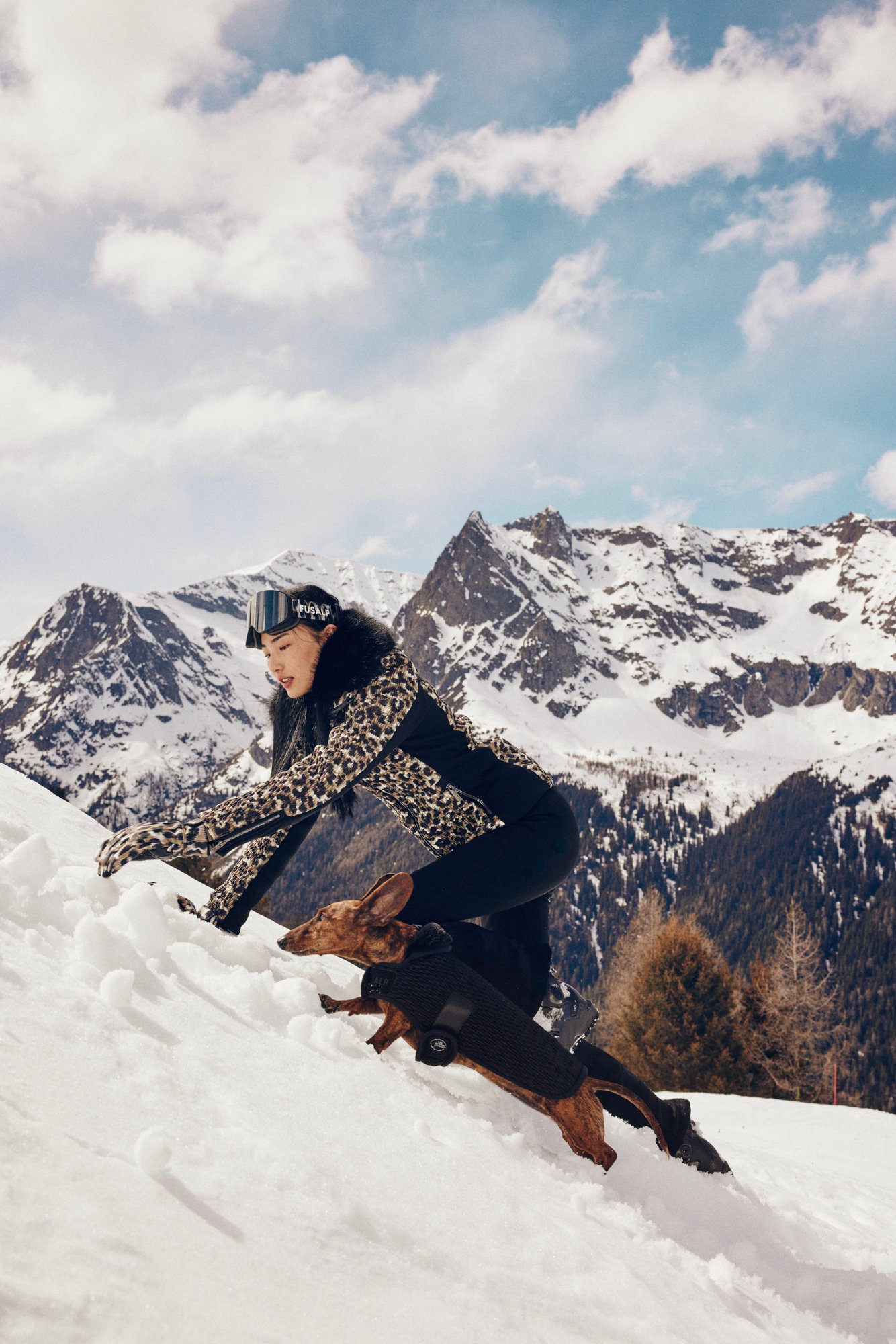 フザルプのヴィジュアル