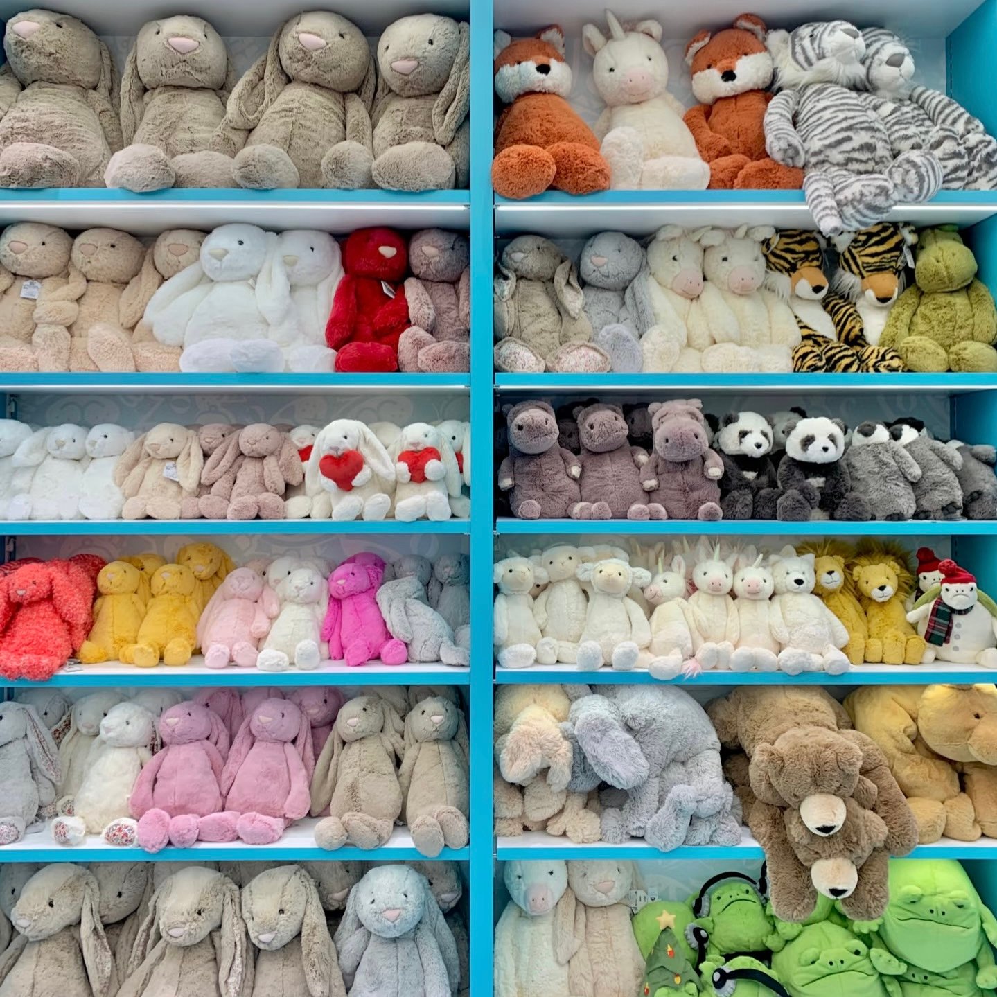 ジェリーキャット店内