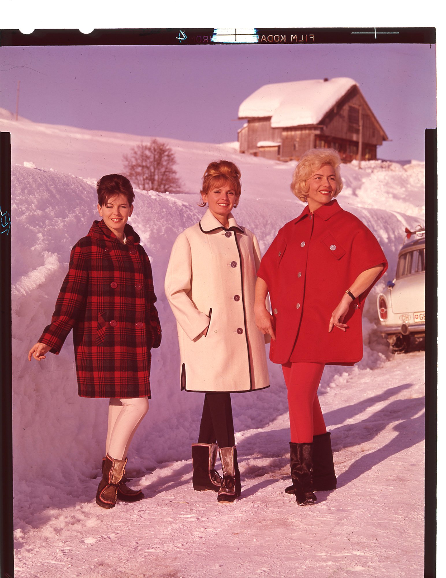 フサルプのヴィジュアル