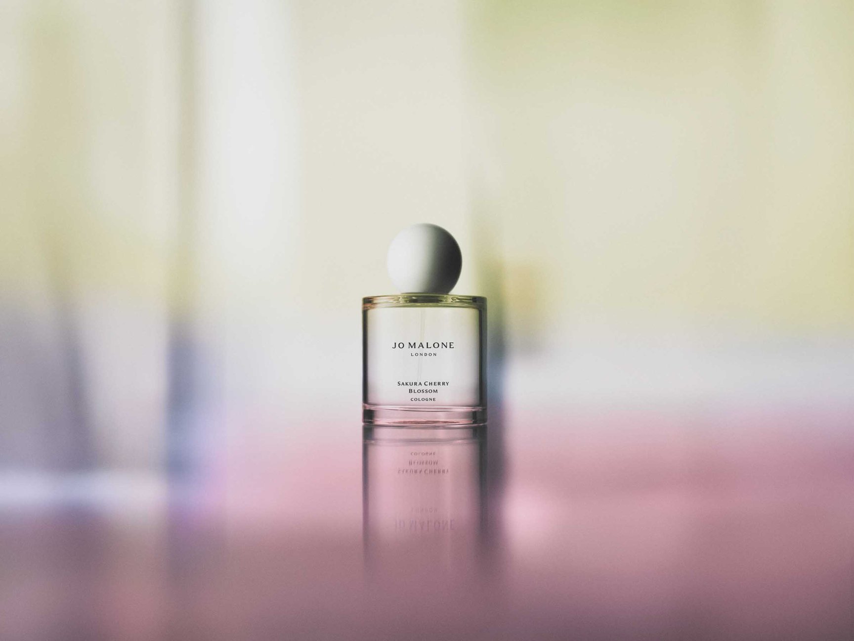 桜コスメまとめ2026