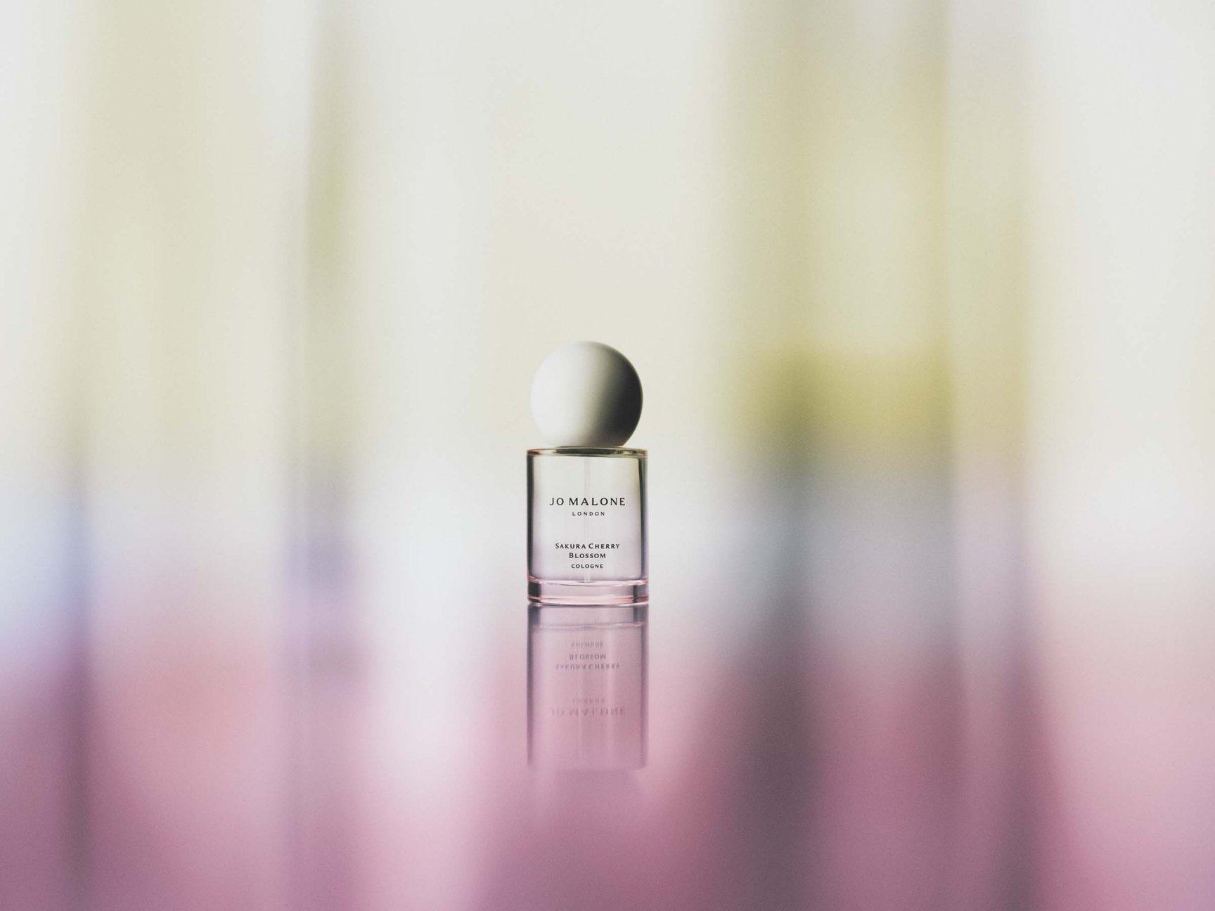 桜コスメまとめ2026