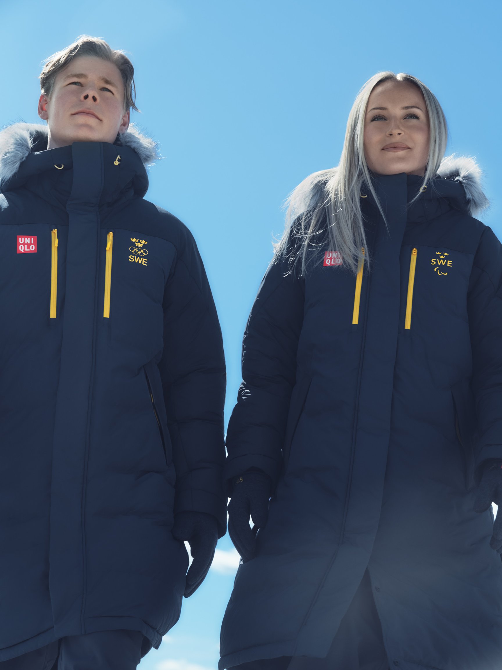 ヴィジュアル画像