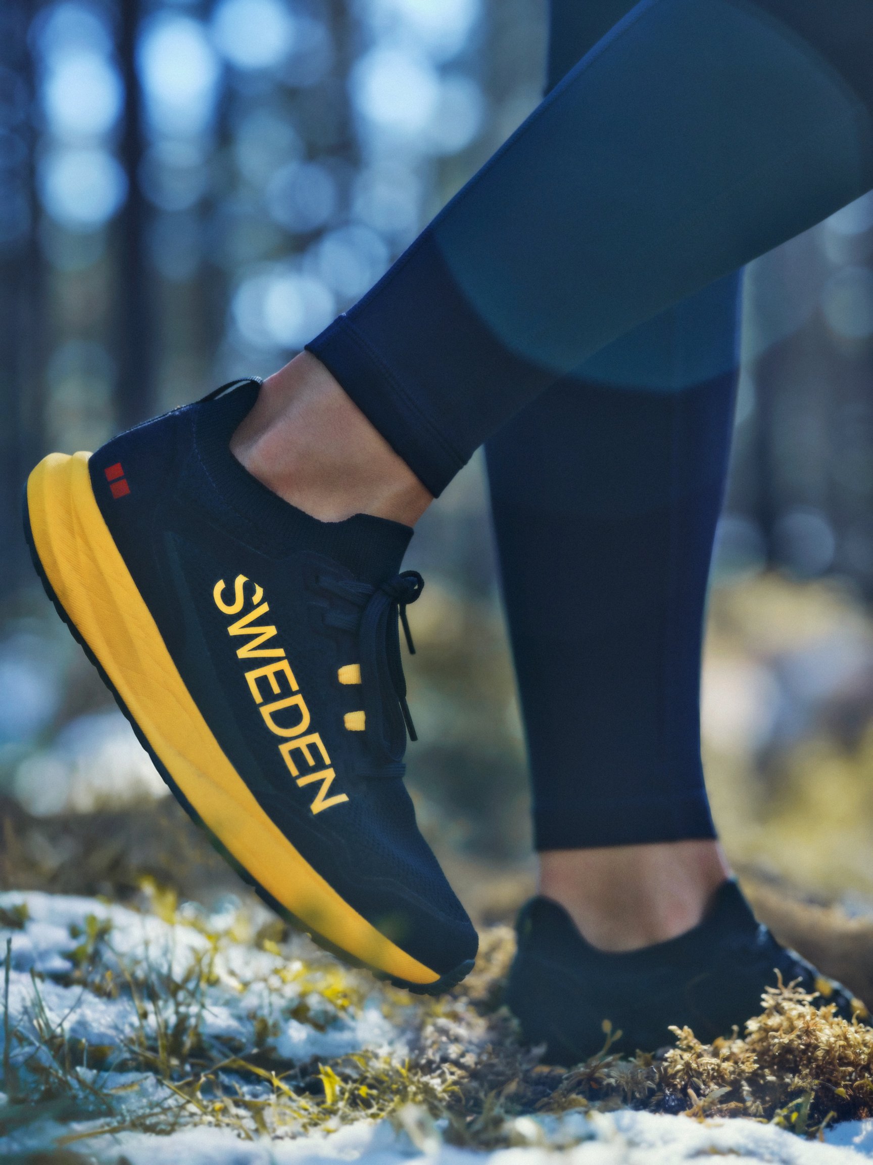 ヴィジュアル画像