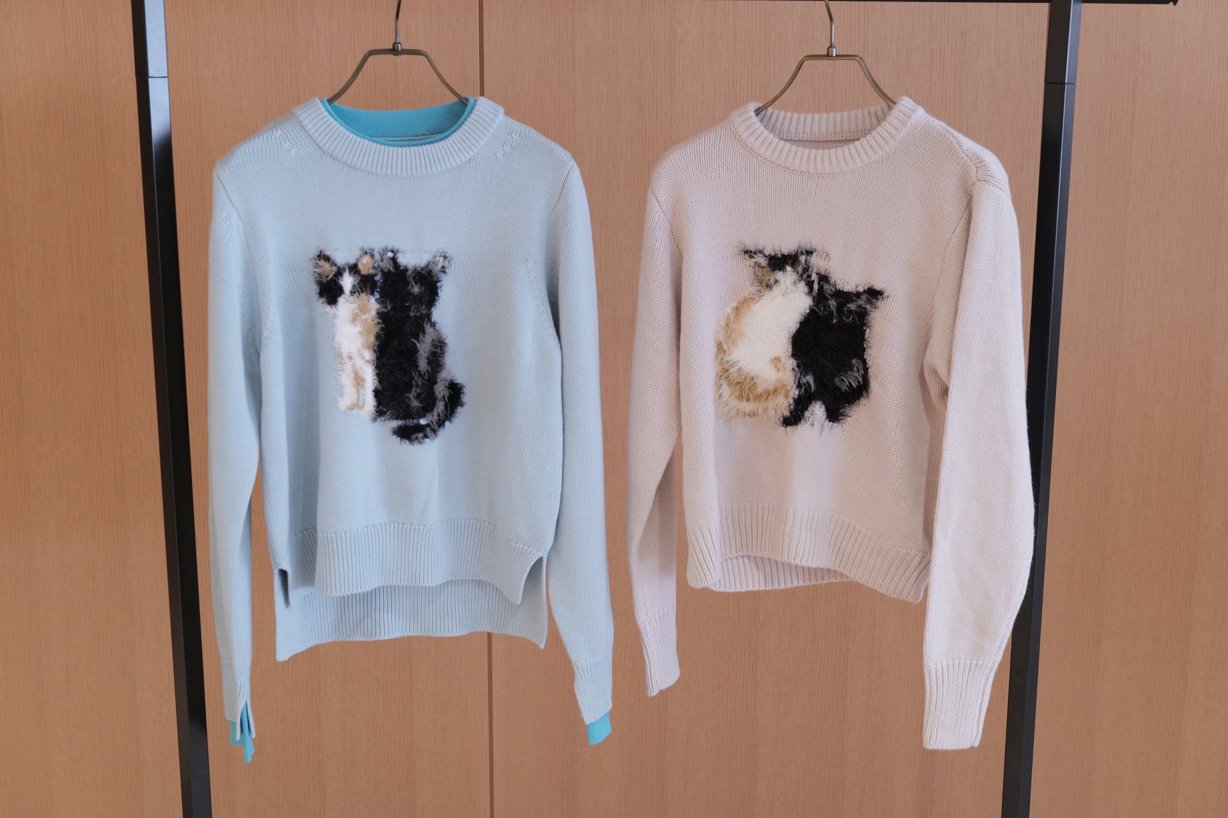 訴訟の対象となった商品の画像