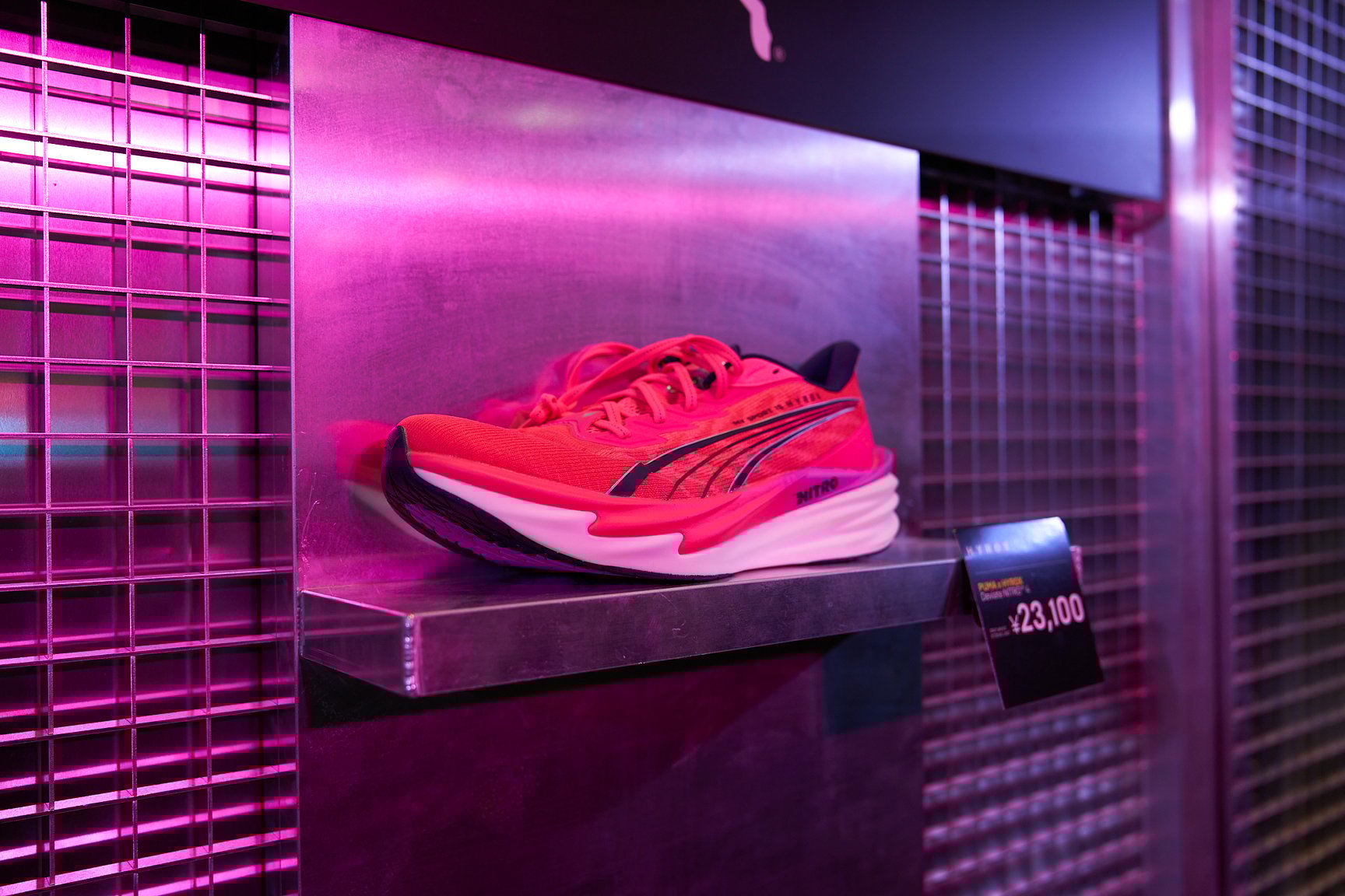 ハイロックスの様子