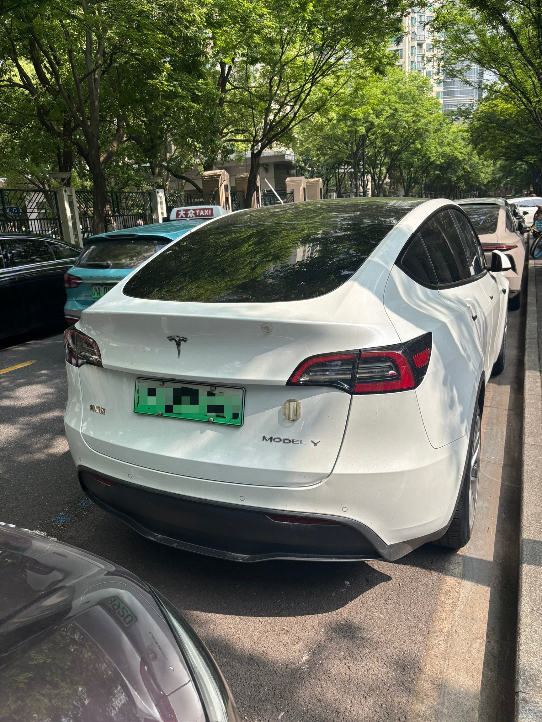 テスラの車画像