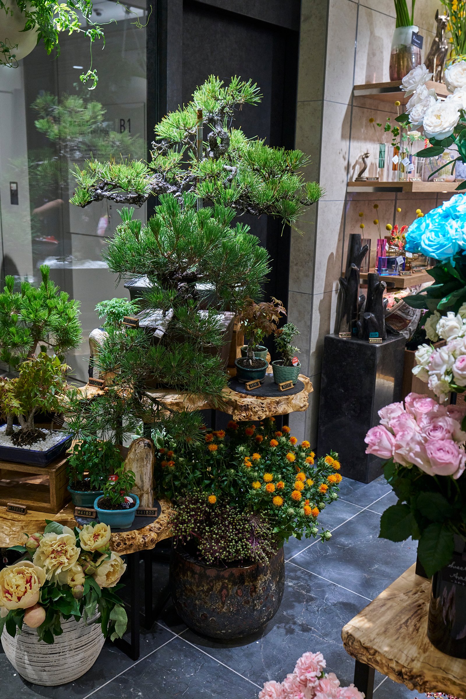 「坪井花苑」