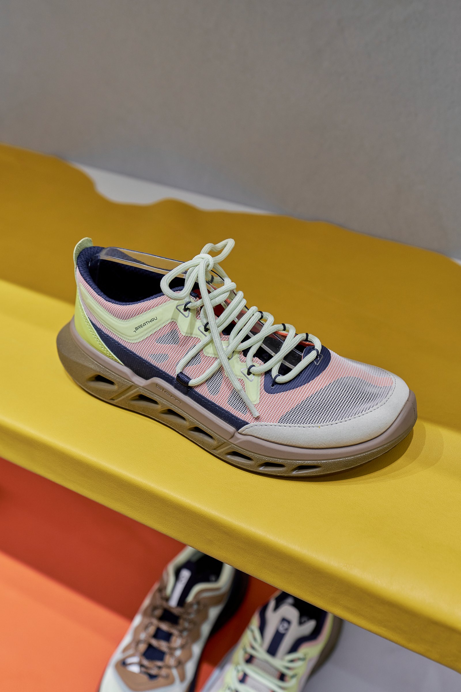 「エコー(ECCO)」