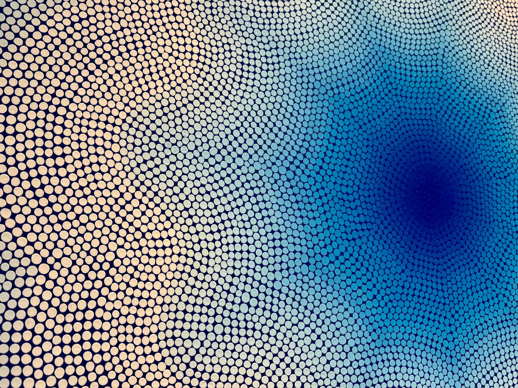「ひかりの世界 ―変わる世界、変わらないひかり―」の様子