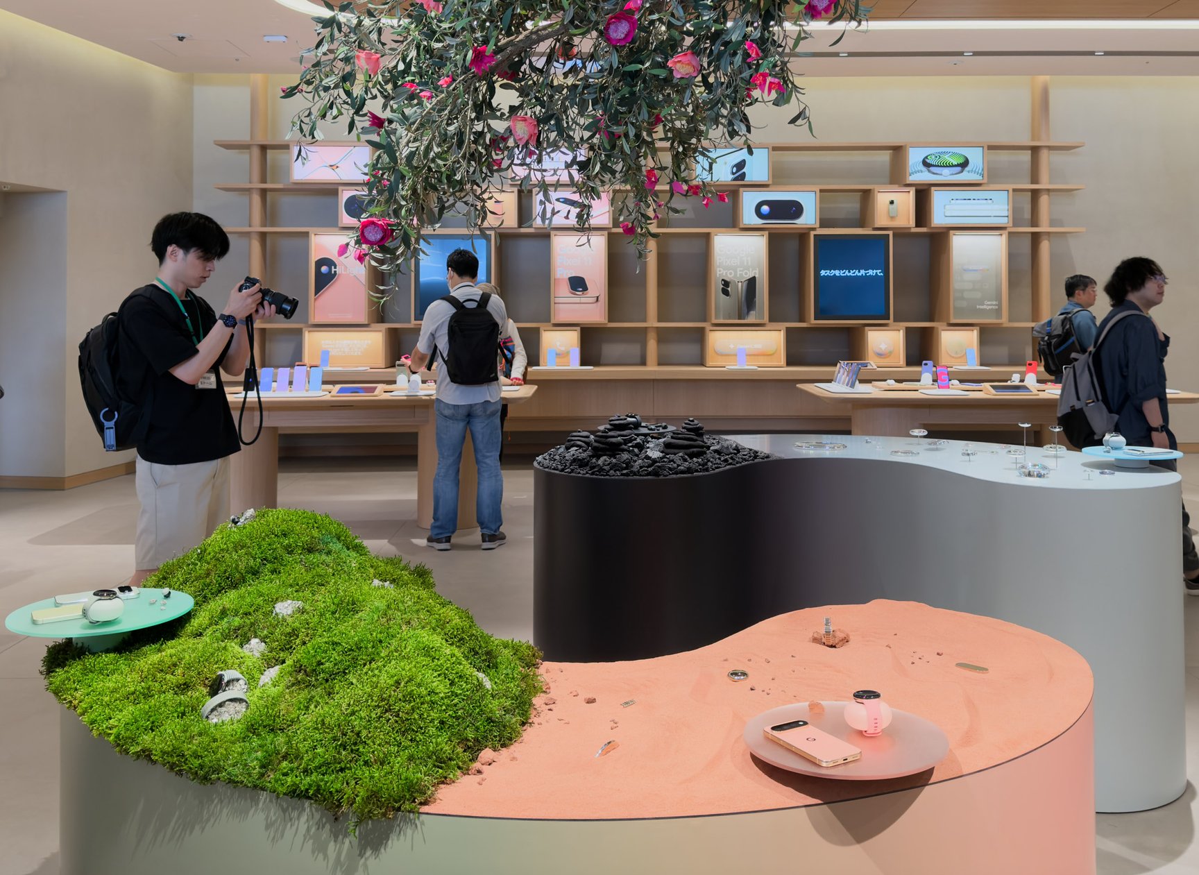 展示作品