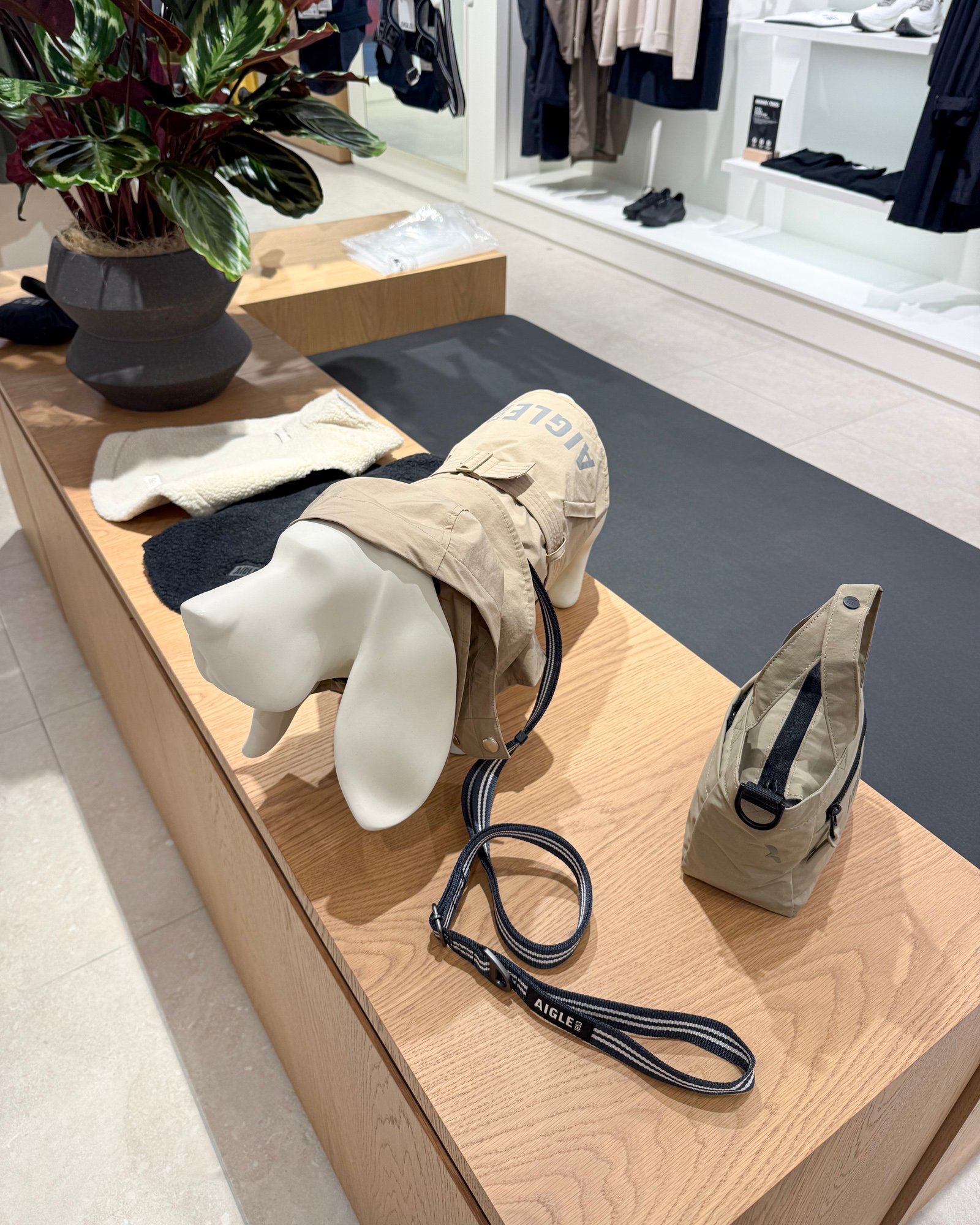 エーグルの店内