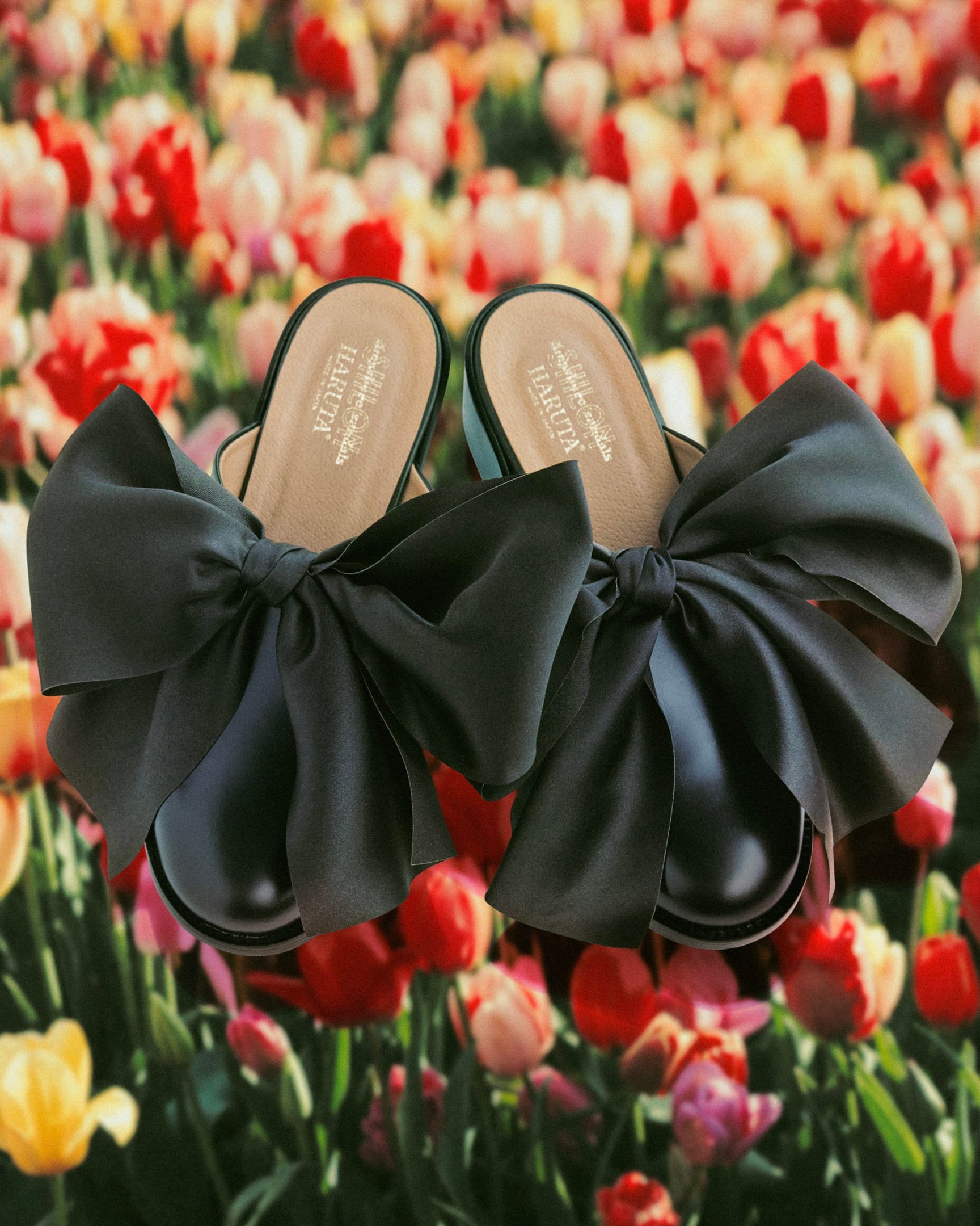 シーロンとハトラのコラボローファー