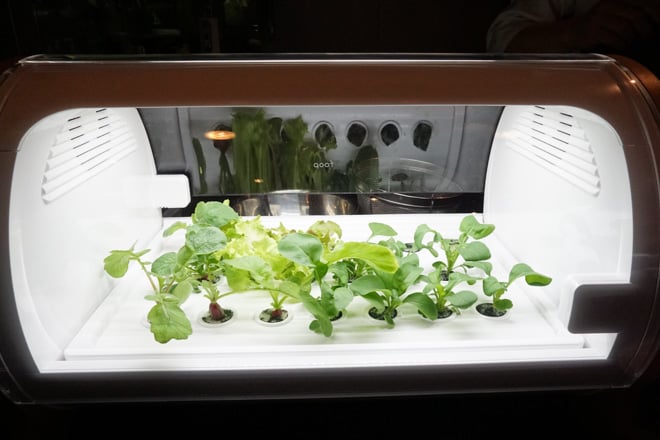 foop lite - www.positly.com