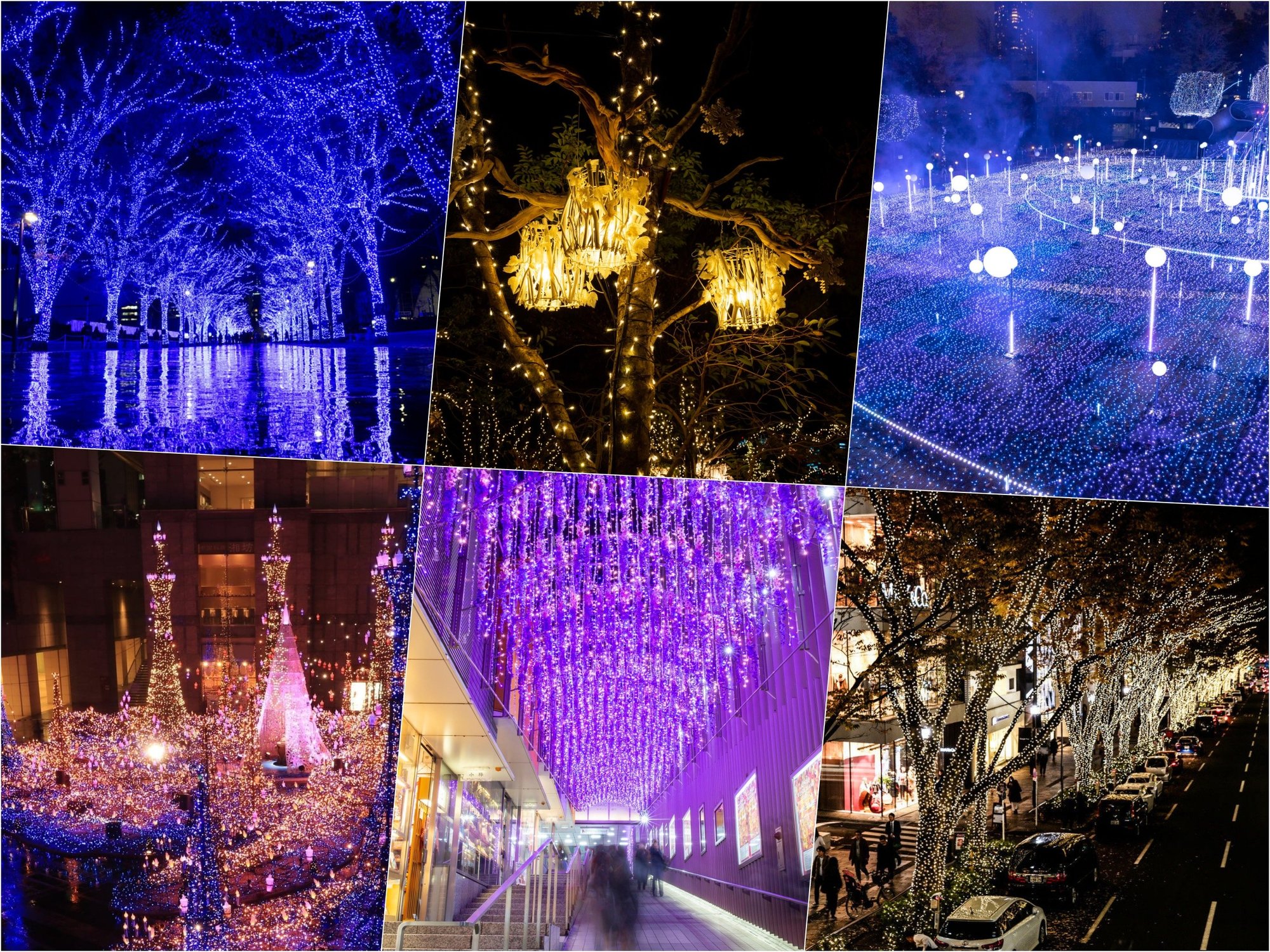 19 年版 都内のショッピングエリアで楽しむイルミネーション19選