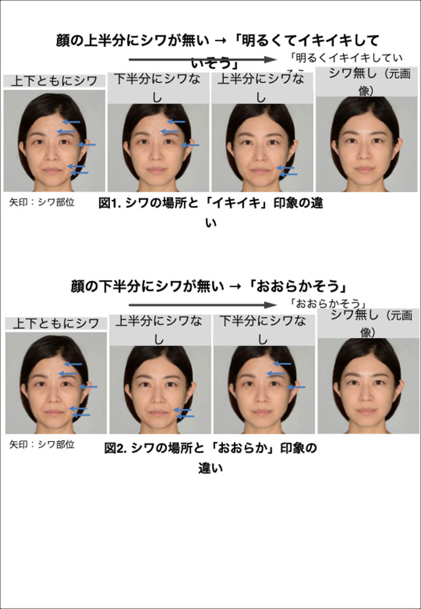 ポーラが顔のシワの分布と与える印象を解明 同一人物でも印象に変化