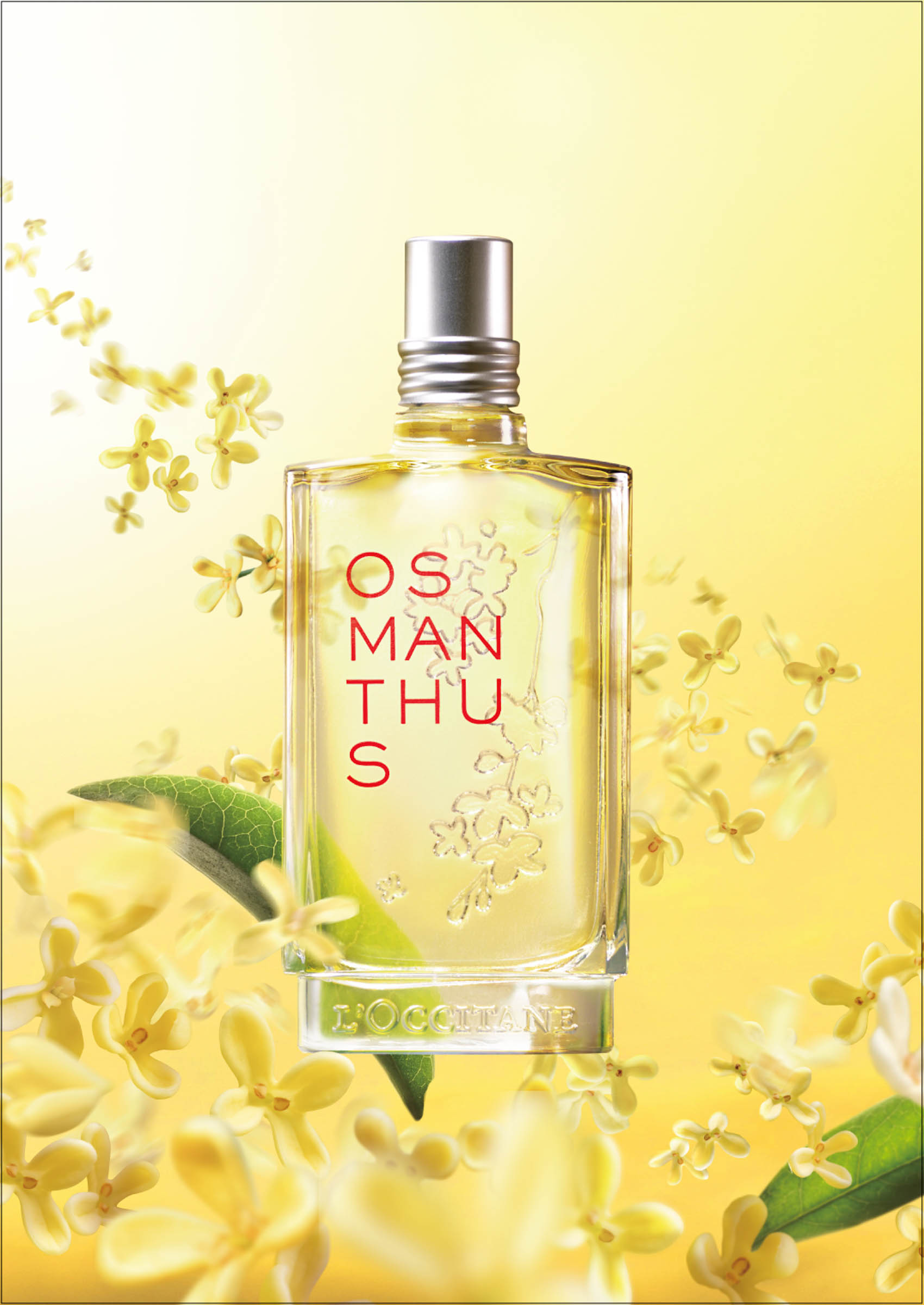 ロクシタン」が金木犀の香りの香水発売、希少な香料で花本来の香りを再現