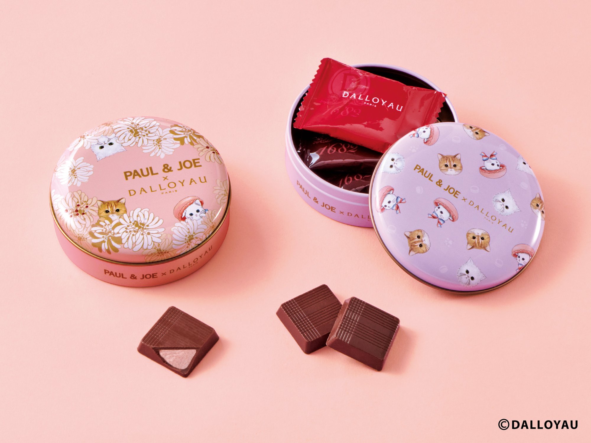 予約中!】 ポール ジョー × ダロワイヨ ニャカロンミャオ詰め合わせ 6個入 スイーツ ギフト コラボ プレゼント バレンタイン www.gothamgazette.com