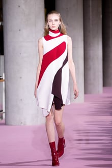 Dior -show in Tokyo- 2015-16AW 東京コレクション 画像120/123