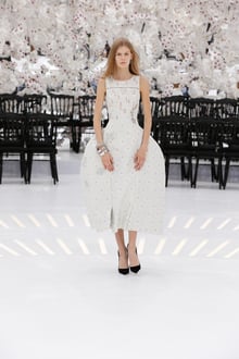 Dior 2014-15AW Couture パリコレクション 画像3/62