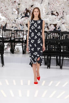 Dior 2014-15AW Couture パリコレクション 画像46/62