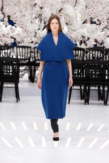 Dior 2014-15AW Couture パリコレクション 画像55/62