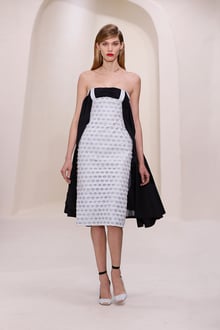 Dior 2014SS Couture パリコレクション 画像46/52