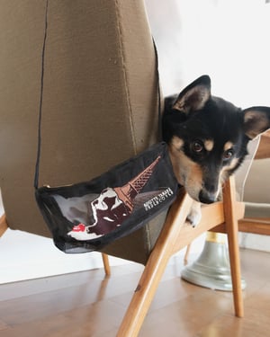 ヴィジュアル画像