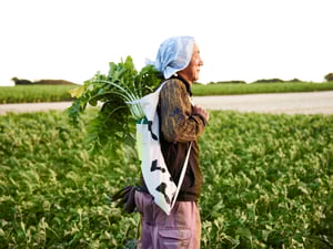 ヴィジュアル画像