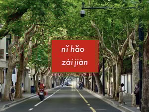 プラタナスの街路樹