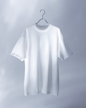 ヘインズのTシャツ