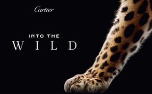 カルティエ（Cartier）が開催するポップアップのキーヴィジュアル