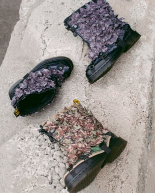 ヴィジュアル画像