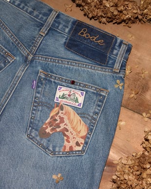 リーバイスがボーディとコラボ　ポニーから着想を得たデザインのデニムが発売