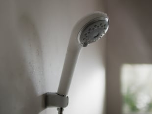 シャワーヘッド