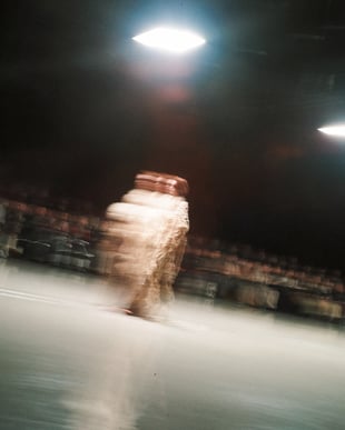 注目コレクション