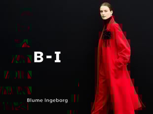 B-IΥä֥ɥӥ奢