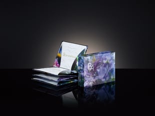 B.A グランラグゼⅣ マスクイメージ画像