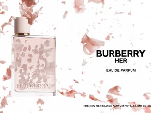 �Щ`�Х�` �ϩ` �ڥ��륺 ���`�ɥѥ�ե���