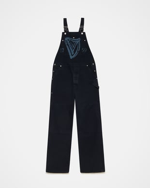 �ץ������Ȼ���