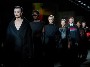 注目コレクション