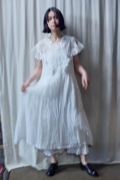 the last flower of the afternoon 26年春夏