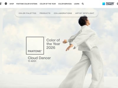 パントン公式サイトのスクリーンショット