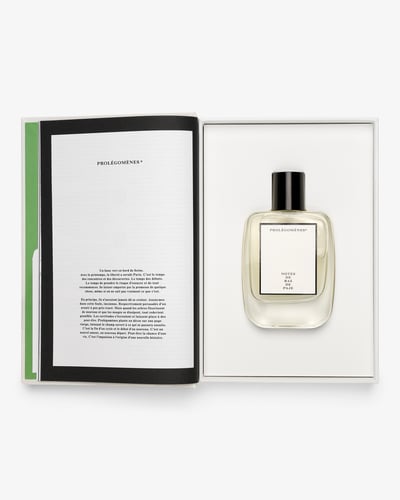 プロレゴメネスイメージビジュアル