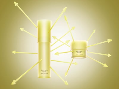 ���м��Ǥ����פ�Ŀָ�������ˤء����ǥ����󥷥�������ӥ��ߥ�C�΃P����٤������󥱥����Q��