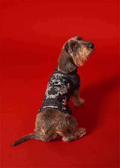 �ǥ��`���롡Ȯ���ɥå�