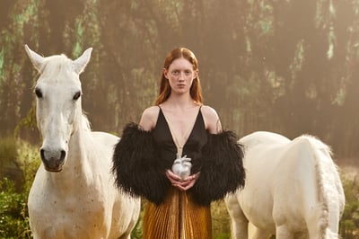 GUCCI ARIAコレクション