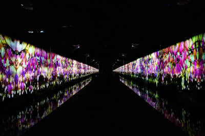 チームラボ　休館　美術館