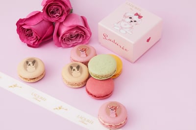 ラテ?ュレ 限定マカロン